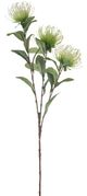 A & B Home White Protea Stem-0