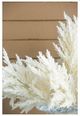 A & B Home Cream Artificial Sorghum Spike Grass Branch-5