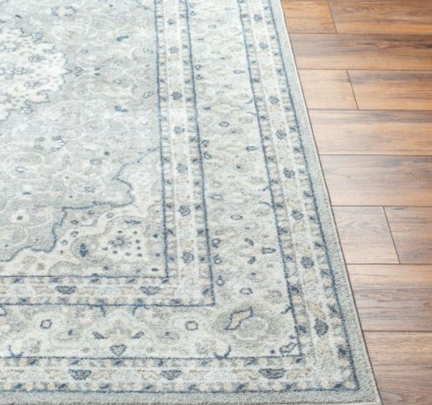 Surya Hera Gray/White 4'x6' Area Rug-1