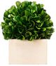 A & B Home Green Small Faux Boxwood Boxed Topiary-0