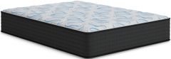 Ashley Sleep® Elite Springs 14" Wrapped Coil Firm Tight Top Queen Mattress in a Box