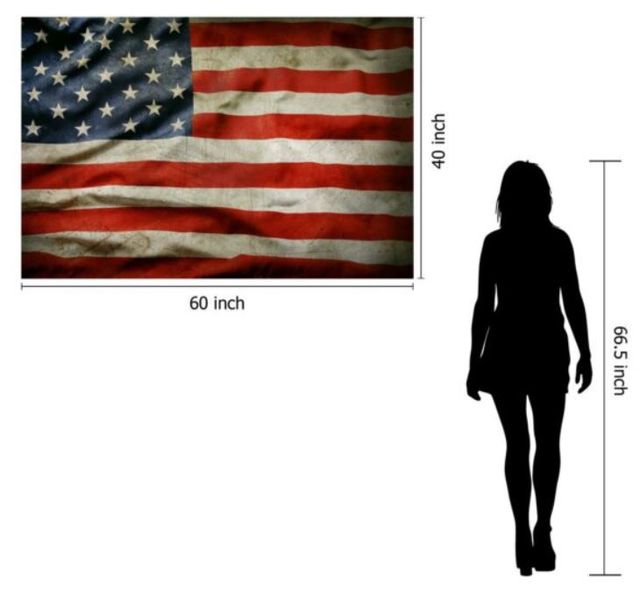 Classy Art USA Flag Wall Art-2