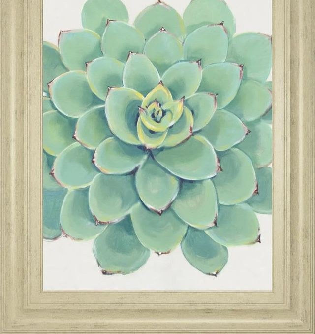 Classy Art Pastel Succulent III by Tim OToole Wall Art-1