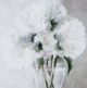 Stylecraft Austere Arrangement II Light Gray/White Wall Art-1
