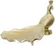 StyleCraft Champagne Gold Small Peacock Dish-1