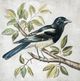 Stylecraft Birdsong ll Wall Art-1