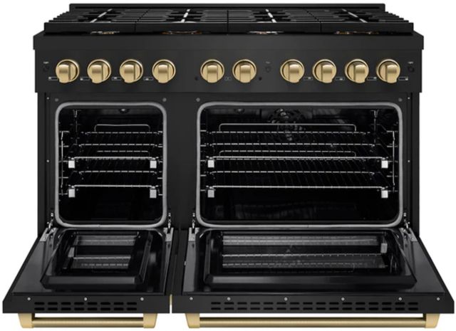ZLINE Autograph Edition Paramount 48" 6.7 cu. ft. Black Stainless Steel with Champagne Bronze Helix Handle and Knob Accents Double Oven Dual Fuel Range with 8 Burner Gas Cooktop-2