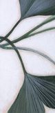 Stylecraft Norman Wyatt Swaying Ginkgo I Wall Art-1