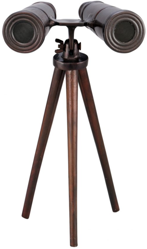 Moe's Home Collection Bronze Binoculars-0