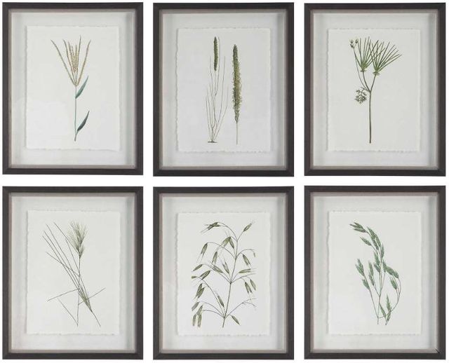 Uttermost® Forest Finds 6-Piece Framed Print Set-0