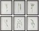 Uttermost® Forest Finds 6-Piece Framed Print Set-0