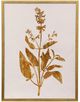 StyleCraft Pressed Foliage lll Wall Art-0