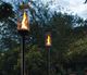 Torch Head w/ Electronic Ignition - LP-3