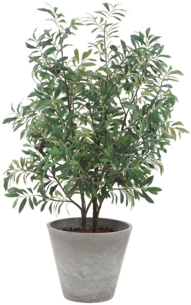 Uttermost® Marisol Gray/Green Potted Olive Plant-0