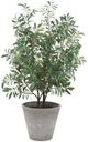 Uttermost® Marisol Gray/Green Potted Olive Plant-0