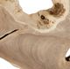 Uttermost® Terrains Natural Wall Decor-5