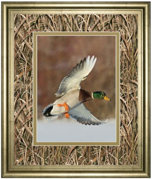Classy Living Steve Oehlenschlager Flying Mallard 34" Wall Art-0