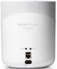 Bluesound PULSE M White Wireless Multi-Room Streaming Speaker-1
