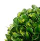 A & B Home Green Medium Faux Boxwood Boxed Topiary-2