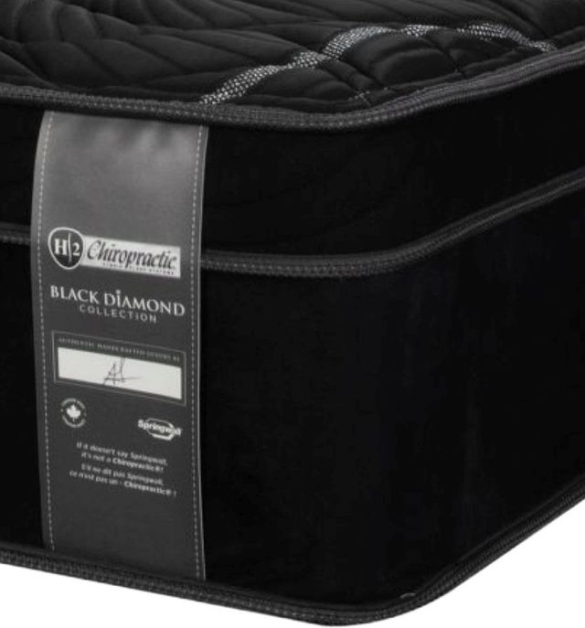 Springwall® Chiropractic® H2 Heirloom Lux 15" Wrapped Coil Firm Euro Top Queen Mattress-1