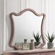 ACME Furniture Salonia Pink Mirror-1