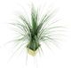 A & B Home Green Artificial Potted Grass Accent-1