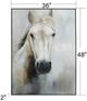 Stylecraft Horse Canvas Wall Art-5