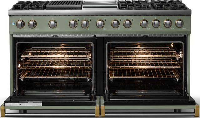 Viking® 5 Series 60" Eucalyptus Pro Style Dual Fuel (NG) Range with Brushed Brass Trim-1