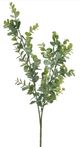 A & B Home Green 26" Eucalyptus Spray-0