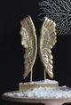 A & B Home Gold/Gray Wing Bookends-4