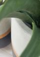 Le Present Belly Gold Black 12" Planter-5