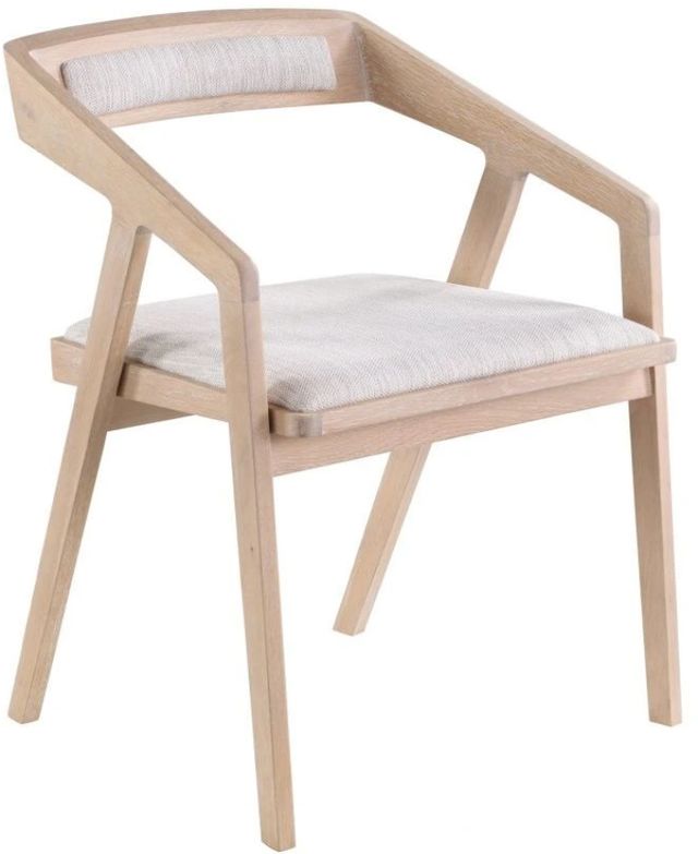Moe's Home Collection Padma Grey Arm Chair-0
