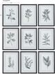 Uttermost® 9-Piece Farmhouse Florals Framed Prints Set-2
