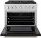ZLINE Paramount Series 36" Stainless Steel Pro Style Gas Range with Black Matte Door-1