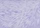 Monarch Specialties Inc. Set of 2 Light Purple Pillow-2