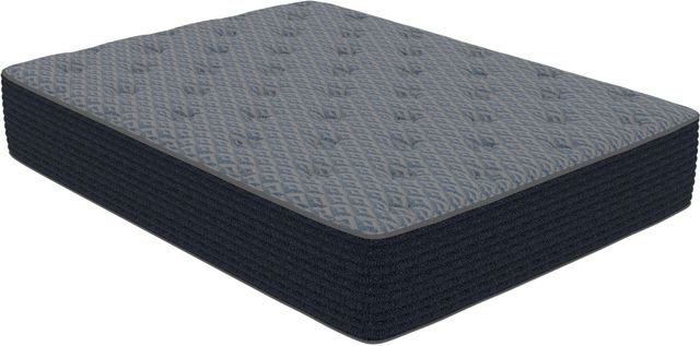 Symbol® Wyatt 14" Wrapped Coil Plush Tight Top Double-Sided Twin XL Mattress-0