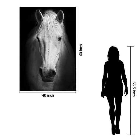 Classy Art White Horse Wall Art-2