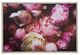 YHD Blushing Peonies II Wall Art-0