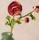 Magnolia Home by Joanna Gaines Peach Real Touch Ranunculus Bud and Bloom-1