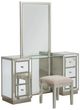 Coast2Coast Home™ Kiara 2-Piece Elsinore Champagne Vanity Mirror and Stool Set-0