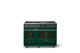 Viking® 7 Series 48'' Ivy Pro Style Dual Fuel Range with Griddle-3