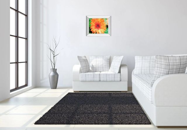 Classy Art Orange Gerbera by Susan Bryant Mirror Framed Wall Art-2