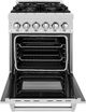 ZLINE 24" DuraSnow® Stainless Steel Freestanding Dual Fuel Range-1