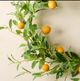 Magnolia Home by Joanna Gaines Green/Orange Citrus Wreath-1