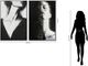 Classy Living 2-Piece Tangled Serenity Dual Portraits Wall Art-2