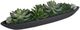Uttermost® Verde Black/Green Succulent Centerpiece in Bowl-0