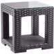 Enclover Trillium Black/Clear End Table-0