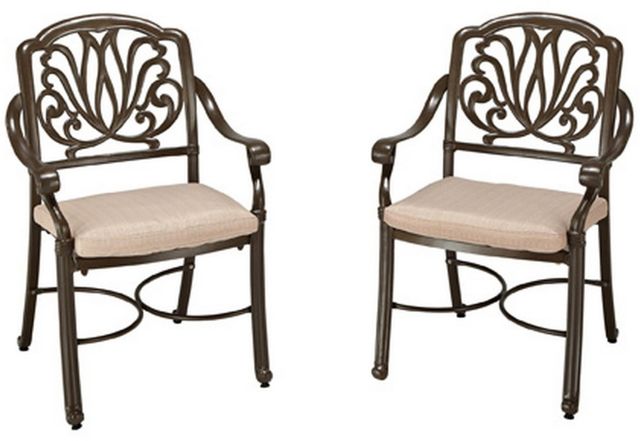 homestyles® Capri 2-Piece Taupe Chair Set-1