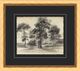 Magnolia Home by Joanna Gaines Tree Sketch Wall Art-0