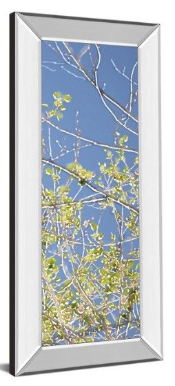 Classy Art Spring Poplars IV by Sharon Chandler Mirror Framed Wall Art-1